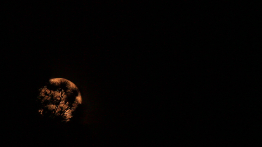 Moon Timelapse