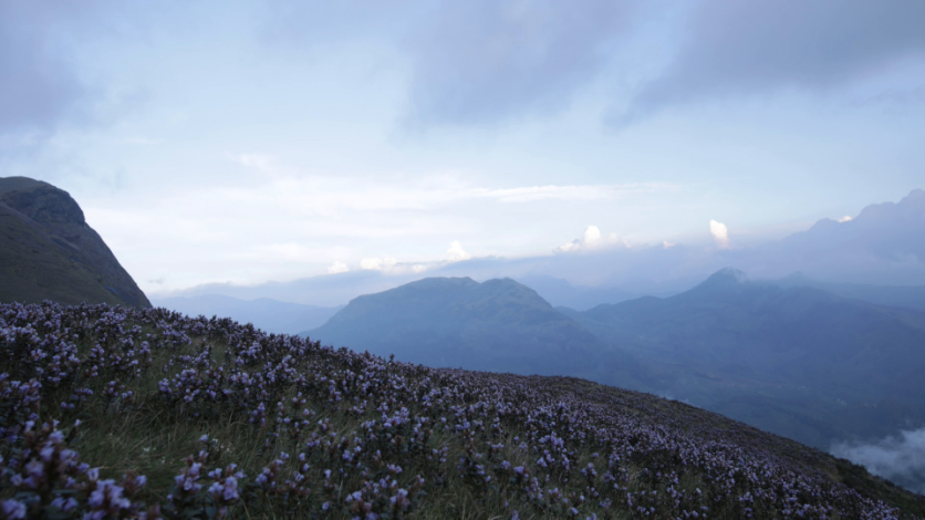 Timelapse from the hill ranges in Idukki