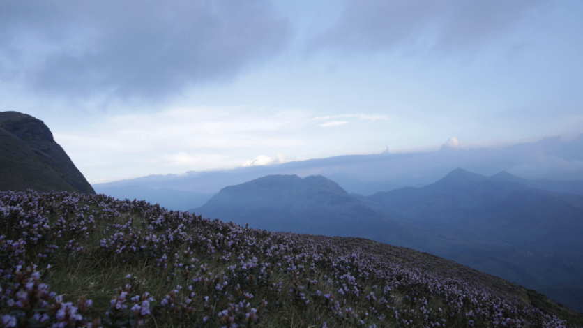 Timelapse shot from the valleys in Idukki, Kerala