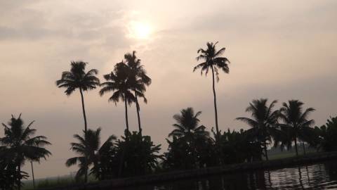 Evening shot of Alappuzha Backwaters, Kerala