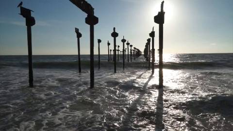 Serene waves at Alappuzha Beach, Kerala