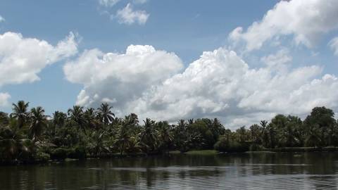 Backwaters in Kerala