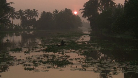 Boat ride during sunset in Kumarakom