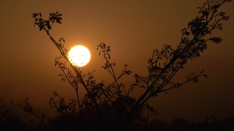 Bright evening sun, Kerala