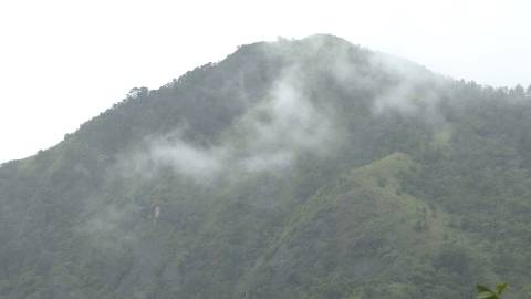 Thin fog spreads over a hill top in Kerala