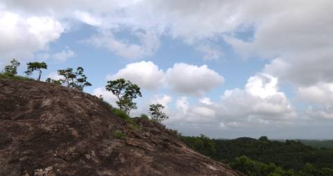 Hillock under a cloudy sky, Kerala