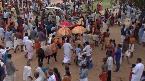 Cultural procession at Ochira temple, Kerala