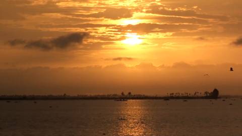 Golden hour at Kerala Backwaters