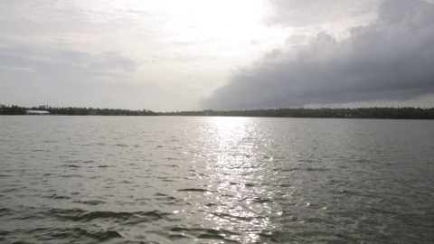 Gleaming backwaters near Ashtamudi Lake