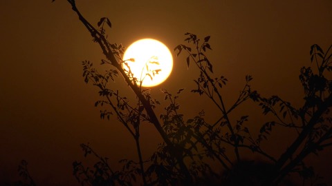 Golden hour sun, Kerala