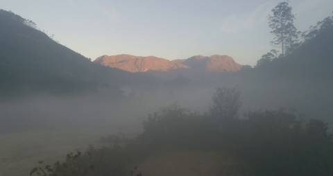 Misty early morning in a hill station, Kerala