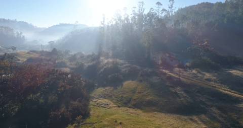 Munnar Hill Station, Idukki