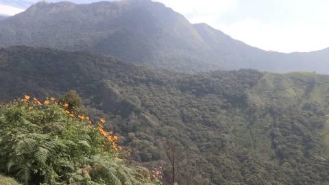 Hills and Valleys in Kerala