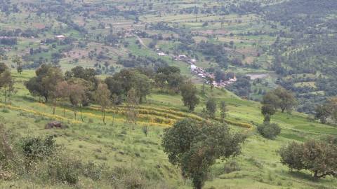 Hilly landscape of Kaas Plateau, Maharashtra, India