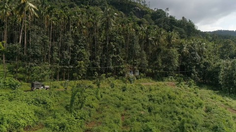 Jeep Safari through Keralamkundu forest