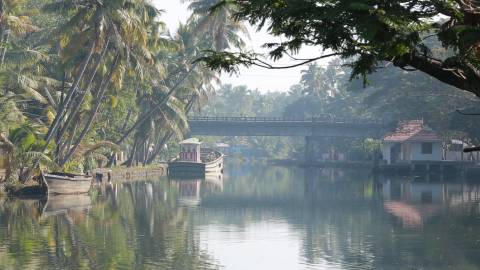 Country boats on Kerala Backwaters