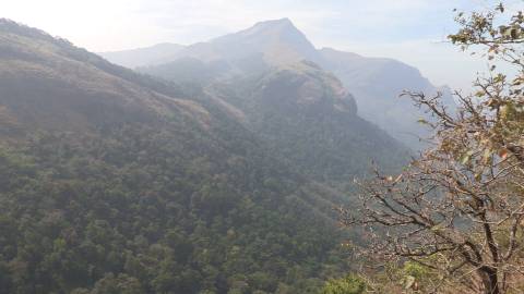 Nelliyampathy Hills, Palakkad