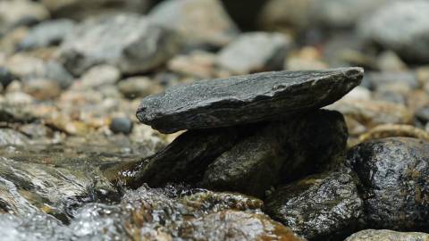 Close-up shot of a rugged rock near Keralamkundu waterfalls