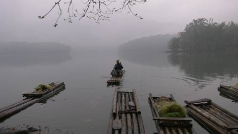 Misty Morning at Parambikulam, Kerala