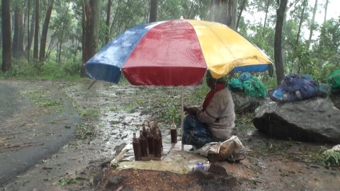 Man sells wild honey, Munnar