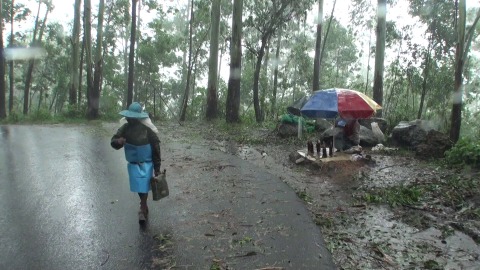 Man walking in the rain, Munnar