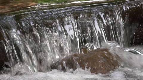 Mini waterfall flowing inside forest