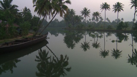 Morning backwater ride in Kumarakom