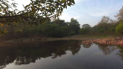 Small pond kissed by morning sunlight