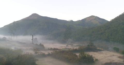 Mist covered Munnar Hills