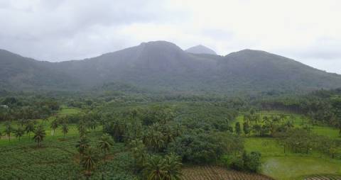 Aerial shot of a green landscape in Kerala