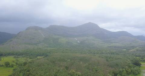 Aerial shot of the lush green vegetation in Kerala