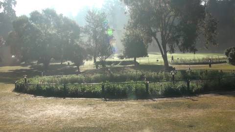 Park meadow at the Botanical gardens in Ooty, Tamil Nadu