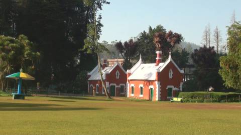 Park meadow in Ooty, Tamil Nadu