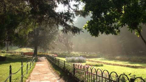 Botanical gardens in Ooty, Tamil Nadu