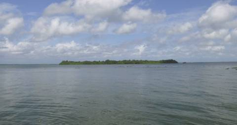 Clear waters in Punnamada Lake, Alappuzha