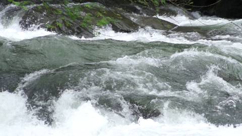 Slowmotion shot of river flowing