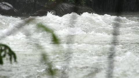 Bountiful flow of water in a forest stream in Kerala