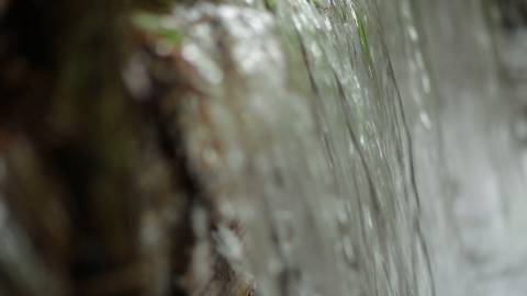 Small stream cascading inside a forest