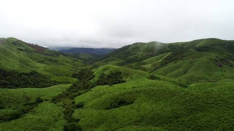 Vagamon Hill Station, Idukki, Kerala