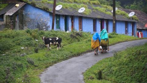 Monsoon morning in Nelliyampathy, Palakkad