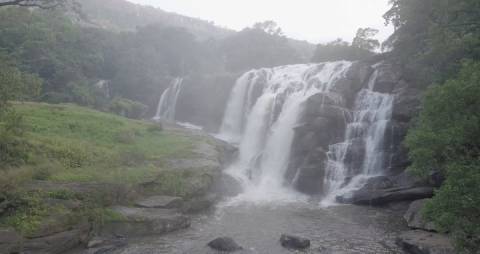 Waterfalls in between thick forest cover