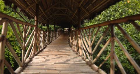 Walking across Madavoorpara bamboo bridge